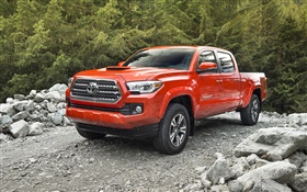2015 Toyota Tacoma red car