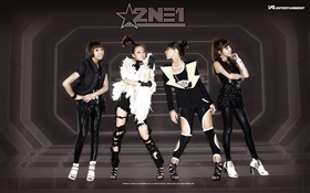 2NE1, Korean music girls 07 HD wallpaper