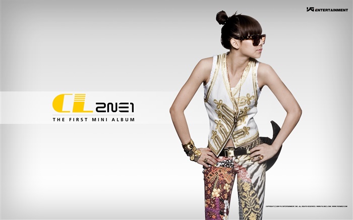 2NE1, Korean music girls 09 Wallpapers Pictures Photos Images