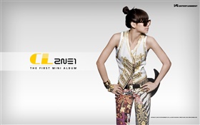 2NE1, Korean music girls 09