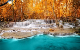 Autumn, forest, trees, river, waterfalls HD wallpaper