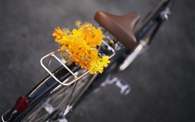 Bike, yellow flowers, bouquet HD wallpaper