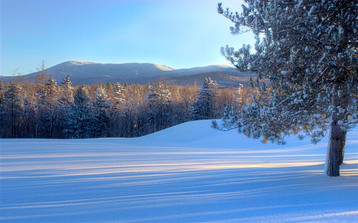 Bread Loaf Mountain, snow, trees, winter, Vermont, USA Wallpapers Pictures Photos Images