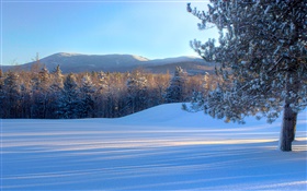 Bread Loaf Mountain, snow, trees, winter, Vermont, USA HD wallpaper