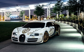 Bugatti Veyron white supercar, New York, trees, night, lights