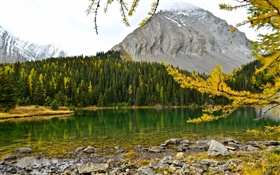 Chester Lake, Canadian Rockies, Alberta, Canada, lake, mountains, forest HD wallpaper