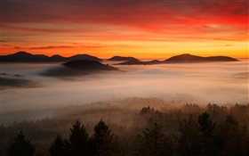 Dawn, mountains, forest, clouds, red sky, fog HD wallpaper
