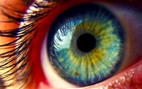 Eyes close-up, eyelashes HD wallpaper