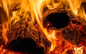 Flame, fire, wood, heat HD wallpaper