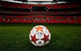 Football, Champions League, grass field, stadium, Wembley HD wallpaper
