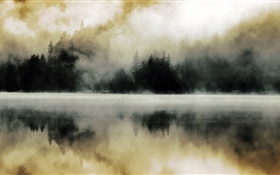 Forest, lake, mist, dawn, water reflection HD wallpaper