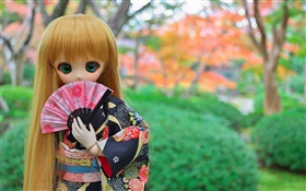 Japanese toy girl, doll, long hair HD wallpaper