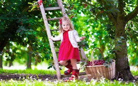 Little girl picking cherries, child, tree, garden HD wallpaper