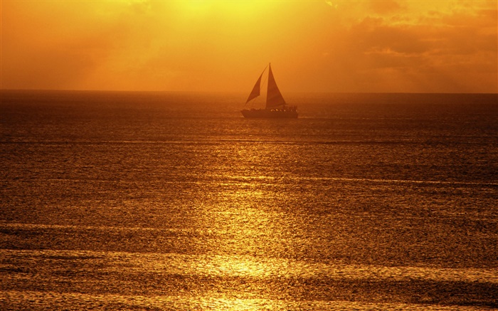 Morning, fog, sea, boat, sun rays Wallpapers Pictures Photos Images