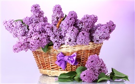 Purple lilac flowers, basket HD wallpaper