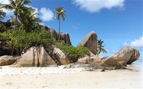 Seychelles Island, beach, stones, palm trees HD wallpaper