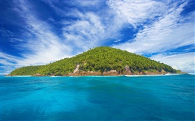 Seychelles Island, little island, trees, sea HD wallpaper