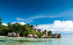 Seychelles Island, sea, coast, stones, palm trees, clouds HD wallpaper
