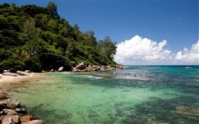 Seychelles Island, slope, sea, coast, clouds HD wallpaper