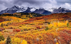 Slope, mountains, trees, autumn, clouds HD wallpaper