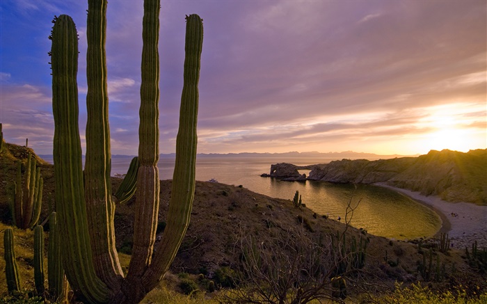 Sunset, hills, sea, Santa Catalina Island, California, USA Wallpapers Pictures Photos Images