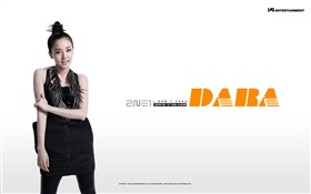 2NE1, Korean music girls 13 HD wallpaper