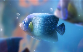 Blue aquarium fish close-up HD wallpaper