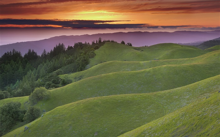 Hills, sky, clouds, sunset, grass, trees Wallpapers Pictures Photos Images