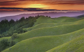 Hills, sky, clouds, sunset, grass, trees