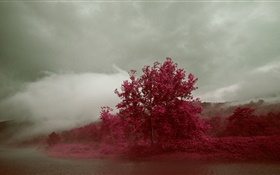 Lake, fog, trees, red leaves, autumn