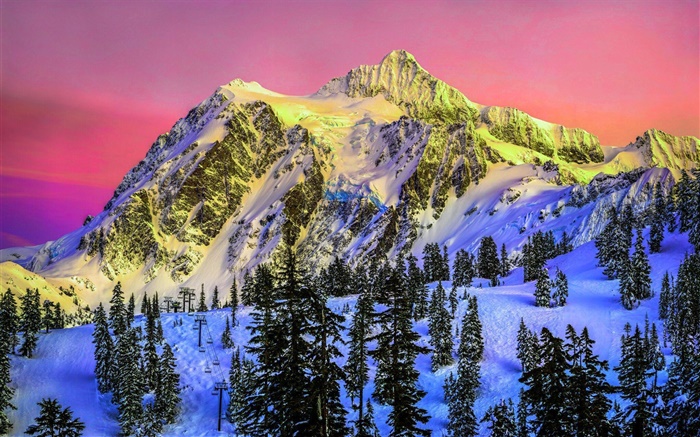Sky, clouds, mountains, snow, forest, spruce trees Wallpapers Pictures Photos Images