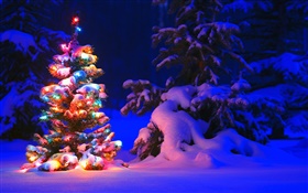 Snow, lights, tree, winter, night, Christmas HD wallpaper