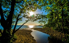 Sun rays, trees, lake HD wallpaper