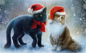 Two cats, snow, scarf, Christmas hat HD wallpaper