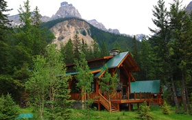 Alberta, Canada, villa, house, forest, trees, mountains HD wallpaper