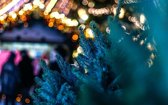 City town, twigs, pine tree, lights Wallpapers Pictures Photos Images