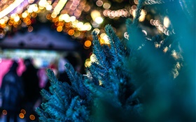 City town, twigs, pine tree, lights HD wallpaper