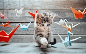 Cute kitten, colorful paper birds HD wallpaper