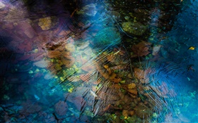 Leaves, water, ice, winter HD wallpaper