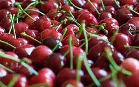 Many red cherries HD wallpaper