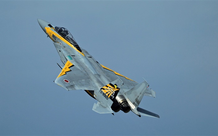 McDonnell Douglas F-15 Eagle fighter in the sky Wallpapers Pictures Photos Images