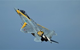 McDonnell Douglas F-15 Eagle fighter in the sky HD wallpaper