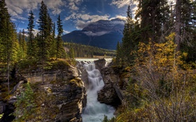 Mountains, forest, trees, waterfall, nature scenery HD wallpaper