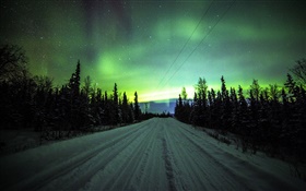 Northern lights, road, pine trees, stars HD wallpaper
