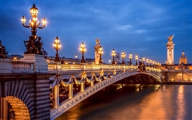 Paris, France, evening, lights, bridge