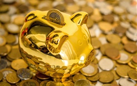Piggy bank, pig, coins HD wallpaper