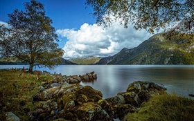 Rogaland, Norway, lake, mountains, tree, rocks, clouds HD wallpaper
