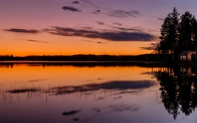 Sky, lake, forest, trees, dusk, evening