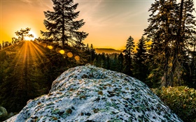 Sunset, mountains, sun rays, trees, stone HD wallpaper
