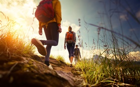 Walk, path, backpack, grass, people, sky HD wallpaper